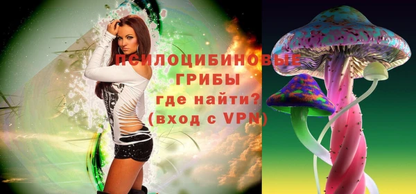 марки lsd Белокуриха