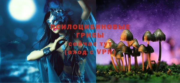 марки lsd Белокуриха