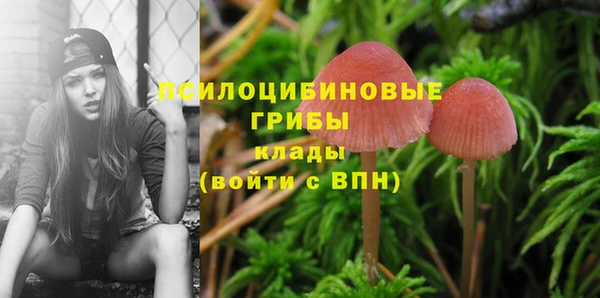 дурь Балахна