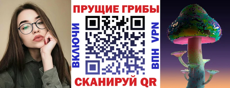 Псилоцибиновые грибы GOLDEN TEACHER наркота Свирск